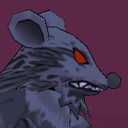 File:Infected Rat.jpg