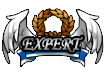 Expert title TAG.png