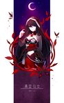 Official Promotional artwork of Elesis in the Fairy of Dark Clouds set